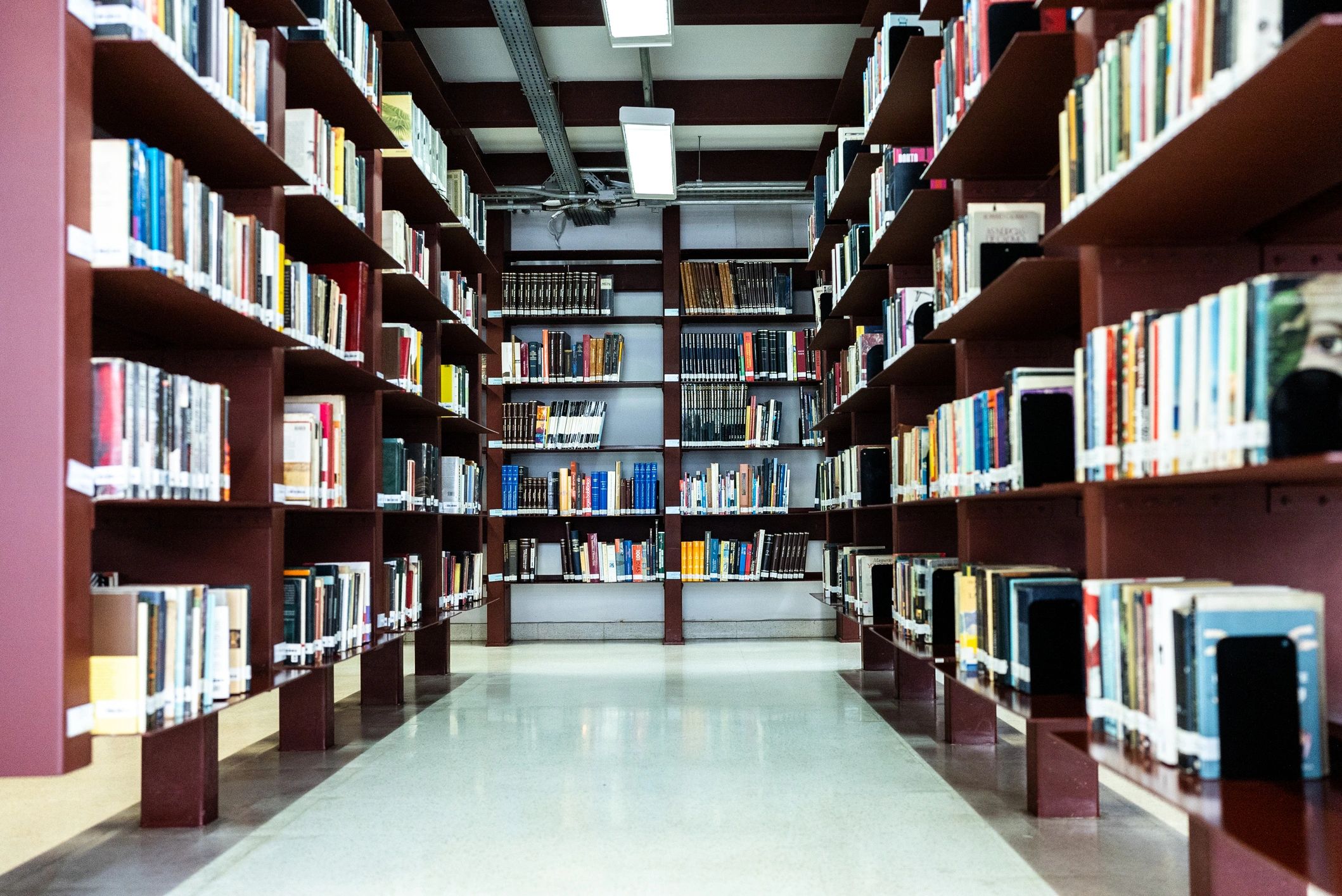 Estanterías de biblioteca con libros